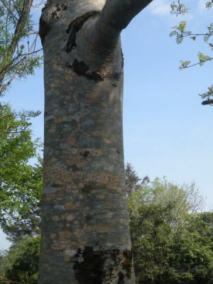 20160513_126.JPG