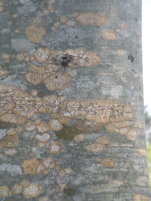 20160513_127.JPG