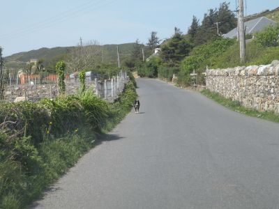 20160513_160.JPG