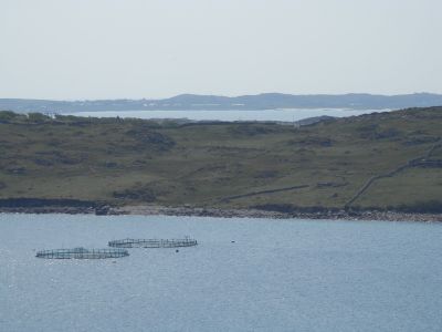 20160513_170.JPG
