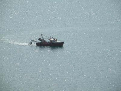 20160513_173.JPG