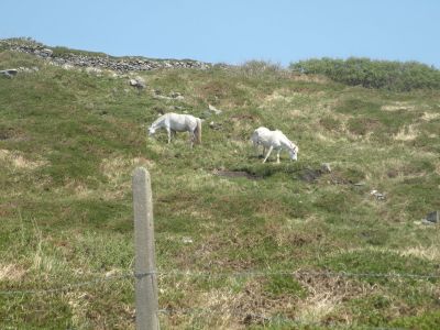20160513_177.JPG