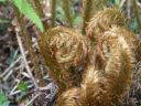 20160513_116.JPG