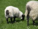 20160513_155.JPG