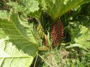 20160513_179.JPG