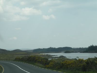 20160513_206.JPG