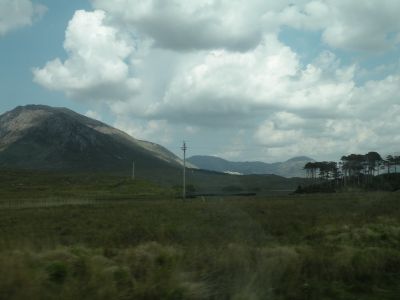 20160513_207.JPG