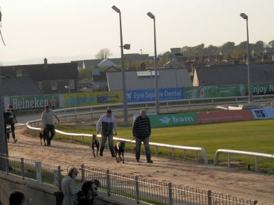 20160513_237.JPG