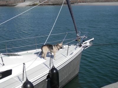 20160514_043.JPG
