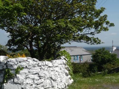 20160514_053.JPG