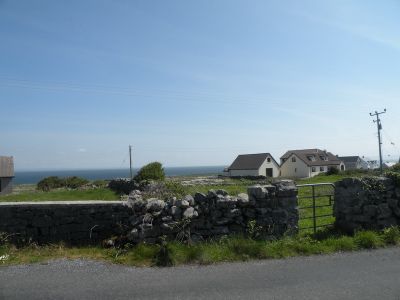 20160514_056.JPG