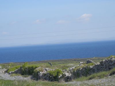 20160514_059.JPG