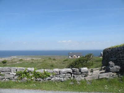 20160514_078.JPG