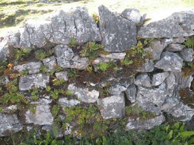 20160514_083.JPG