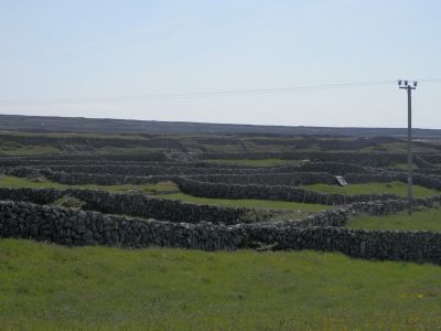20160514_094.JPG
