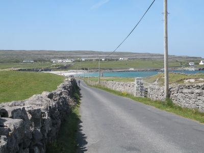 20160514_097.JPG