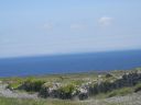 20160514_059.JPG