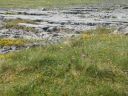 20160514_061.JPG