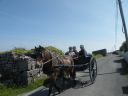 20160514_077.JPG