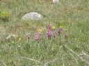 20160514_089.JPG