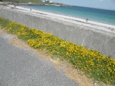 20160514_101.JPG