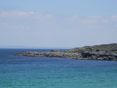 20160514_104.JPG