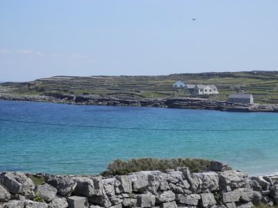 20160514_111.JPG