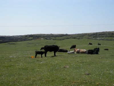 20160514_115.JPG
