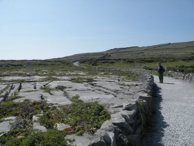 20160514_123.JPG
