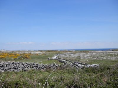 20160514_126.JPG