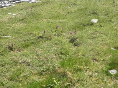20160514_129.JPG