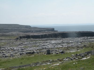 20160514_130.JPG