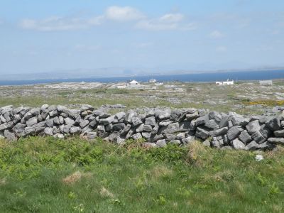 20160514_131.JPG