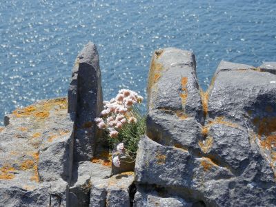 20160514_141.JPG