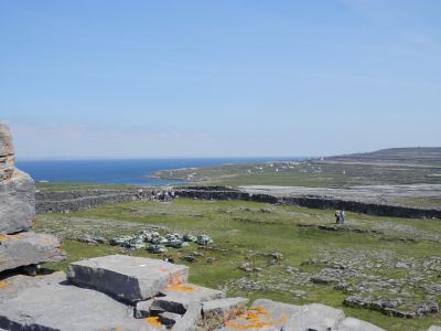 20160514_151.JPG
