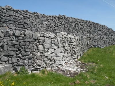 20160514_164.JPG