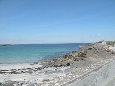 20160514_171.JPG