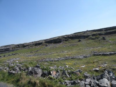 20160514_178.JPG