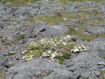 20160514_181.JPG