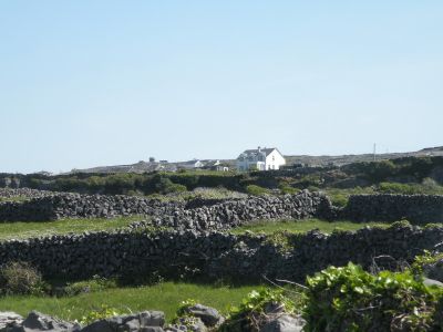20160514_184.JPG