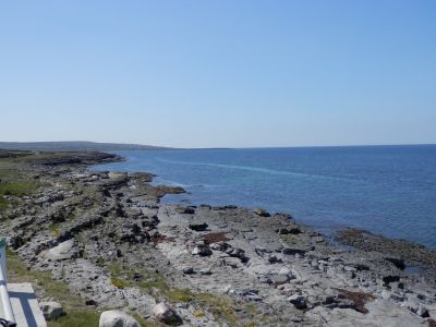 20160514_187.JPG