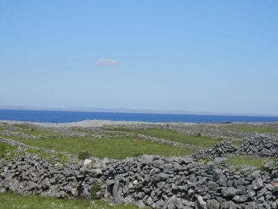 20160514_194.JPG