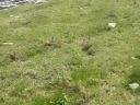 20160514_129.JPG