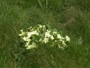 20160514_132.JPG