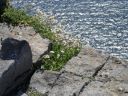 20160514_142.JPG