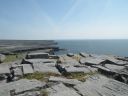 20160514_148.JPG