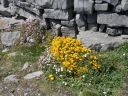 20160514_154.JPG