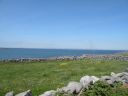 20160514_172.JPG
