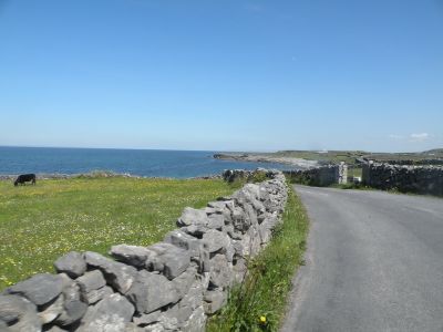 20160514_202.JPG