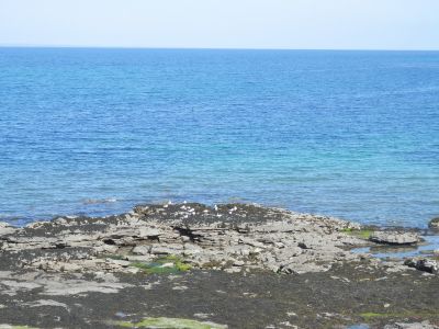 20160514_203.JPG